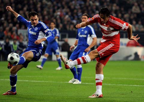 貝茲利的加 貝茲利的加